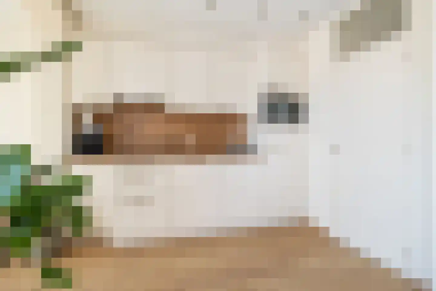 Nieuwe weg 99 Veenoord thumbnail 14