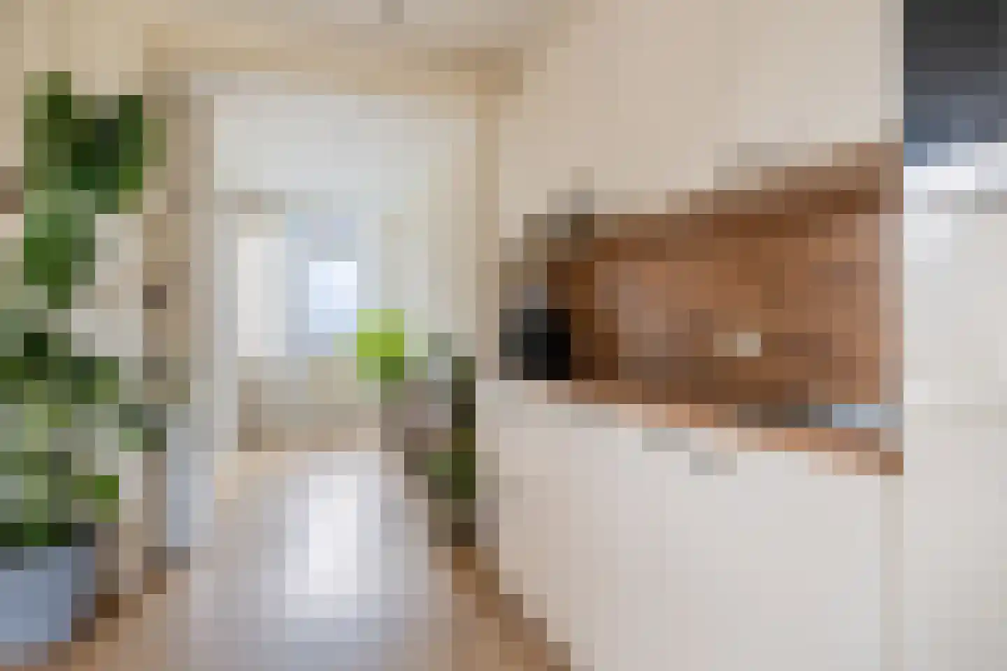 Nieuwe weg 99 Veenoord thumbnail 15
