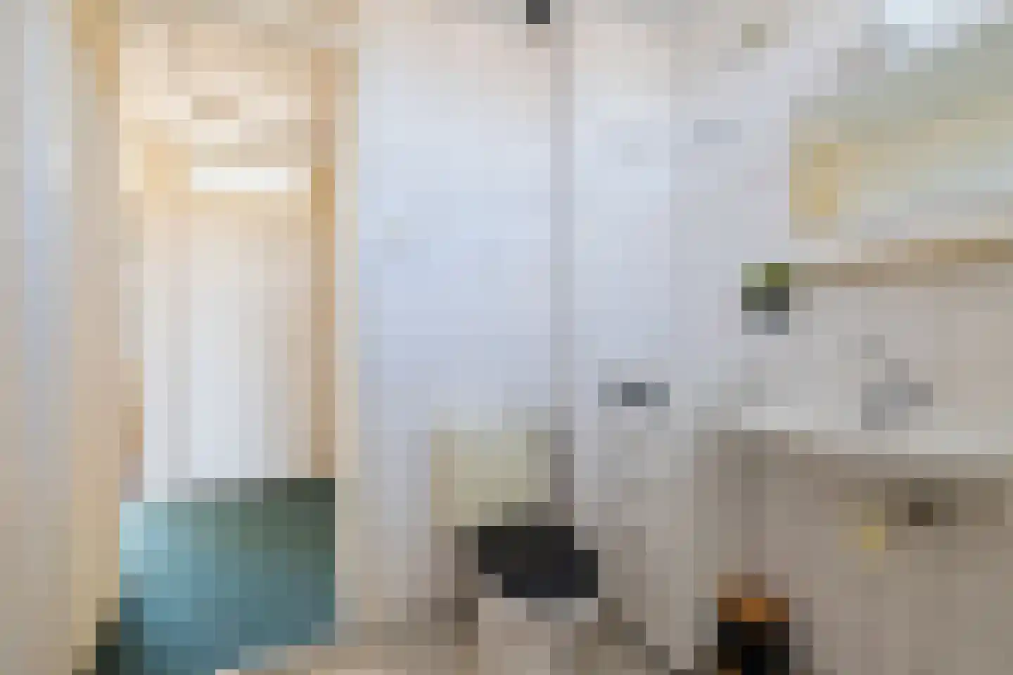 Nieuwe weg 99 Veenoord thumbnail 26