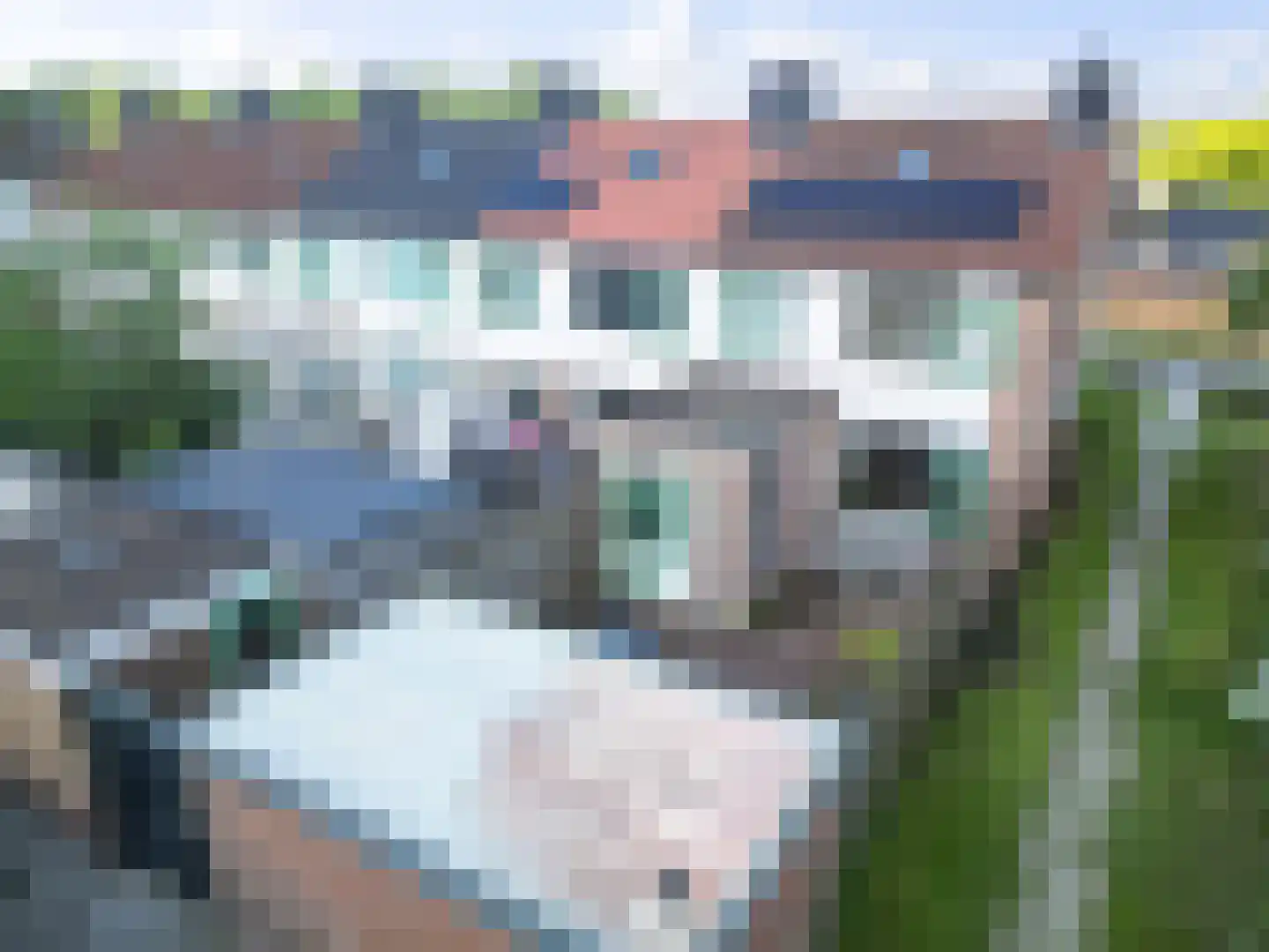 Nieuwe weg 99 Veenoord thumbnail 27