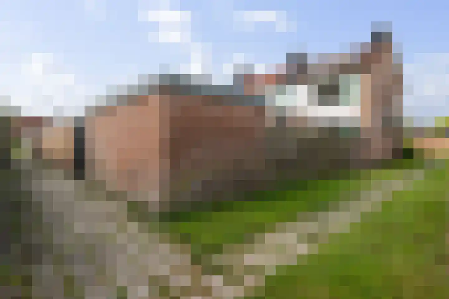 Nieuwe weg 99 Veenoord thumbnail 34