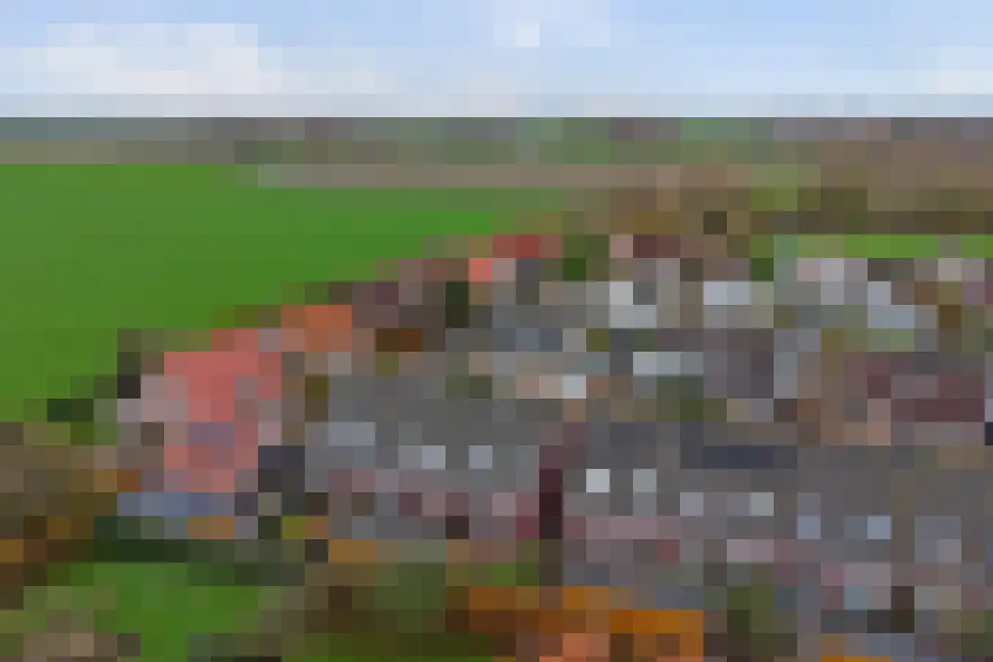 Nieuwe Wei 14 Gapinge thumbnail 25