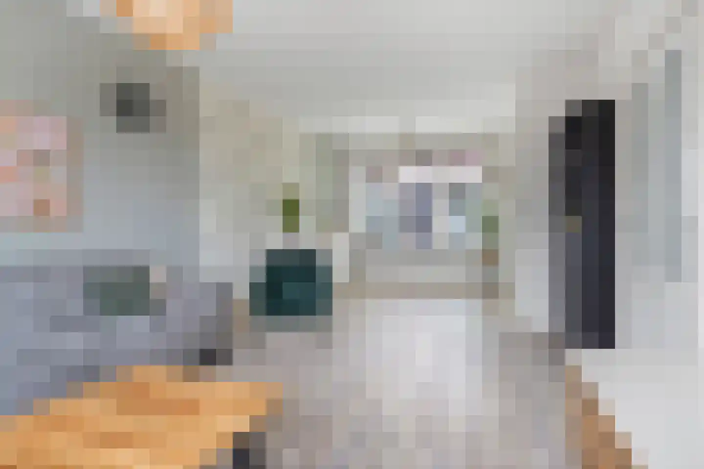Nieuwe Werf 20 Kruisland thumbnail 10