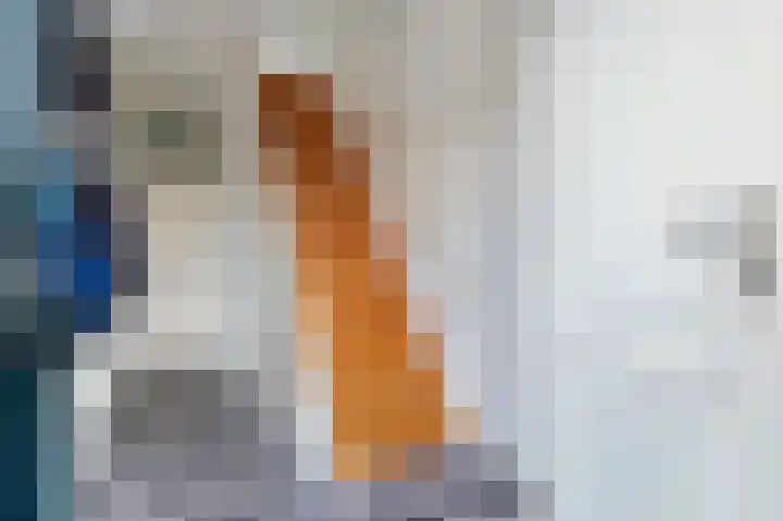 Nieuwe Werf 54 Kruisland thumbnail 7