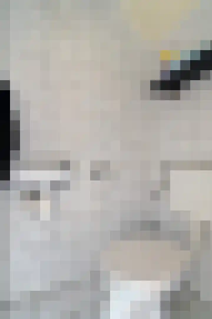 Nieuwe Werf 54 Kruisland thumbnail 8