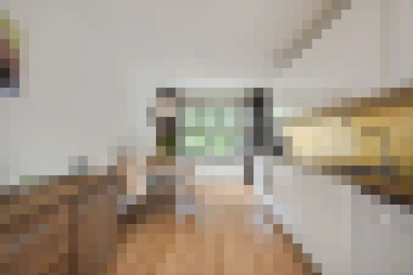 Nieuwe Wetering 127 Hoogvliet Rotterdam thumbnail 13