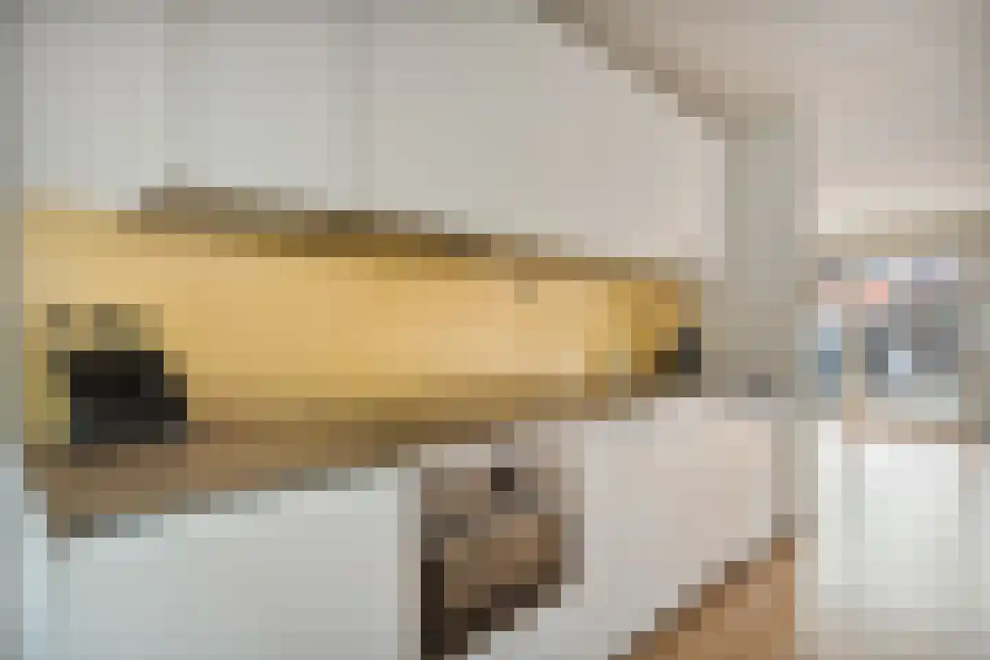 Nieuwe Wetering 127 Hoogvliet Rotterdam thumbnail 14