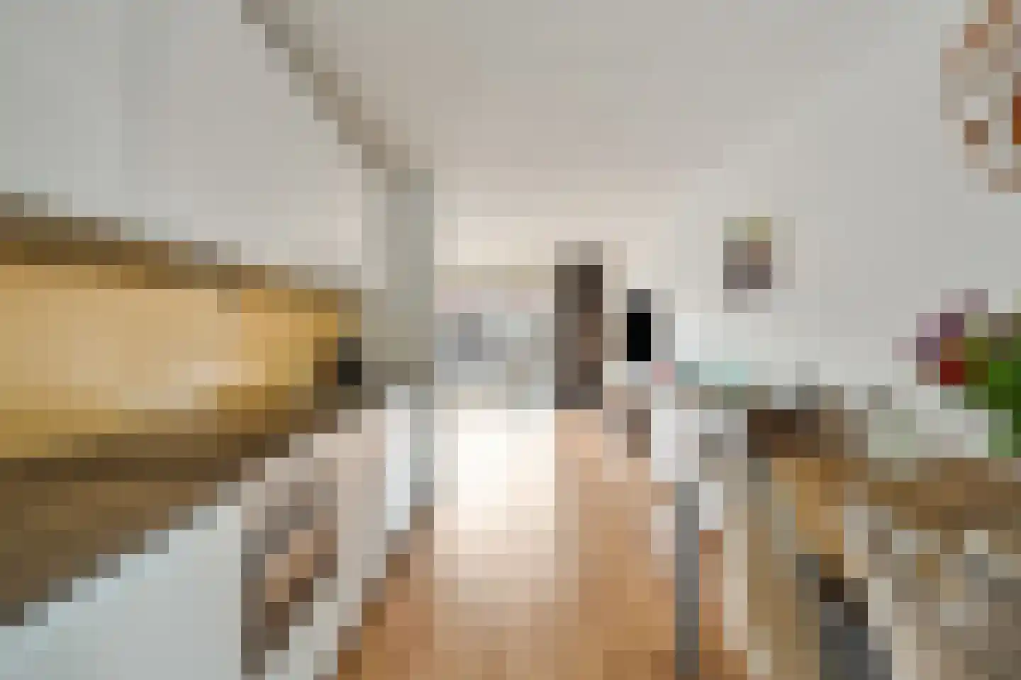Nieuwe Wetering 127 Hoogvliet Rotterdam thumbnail 15