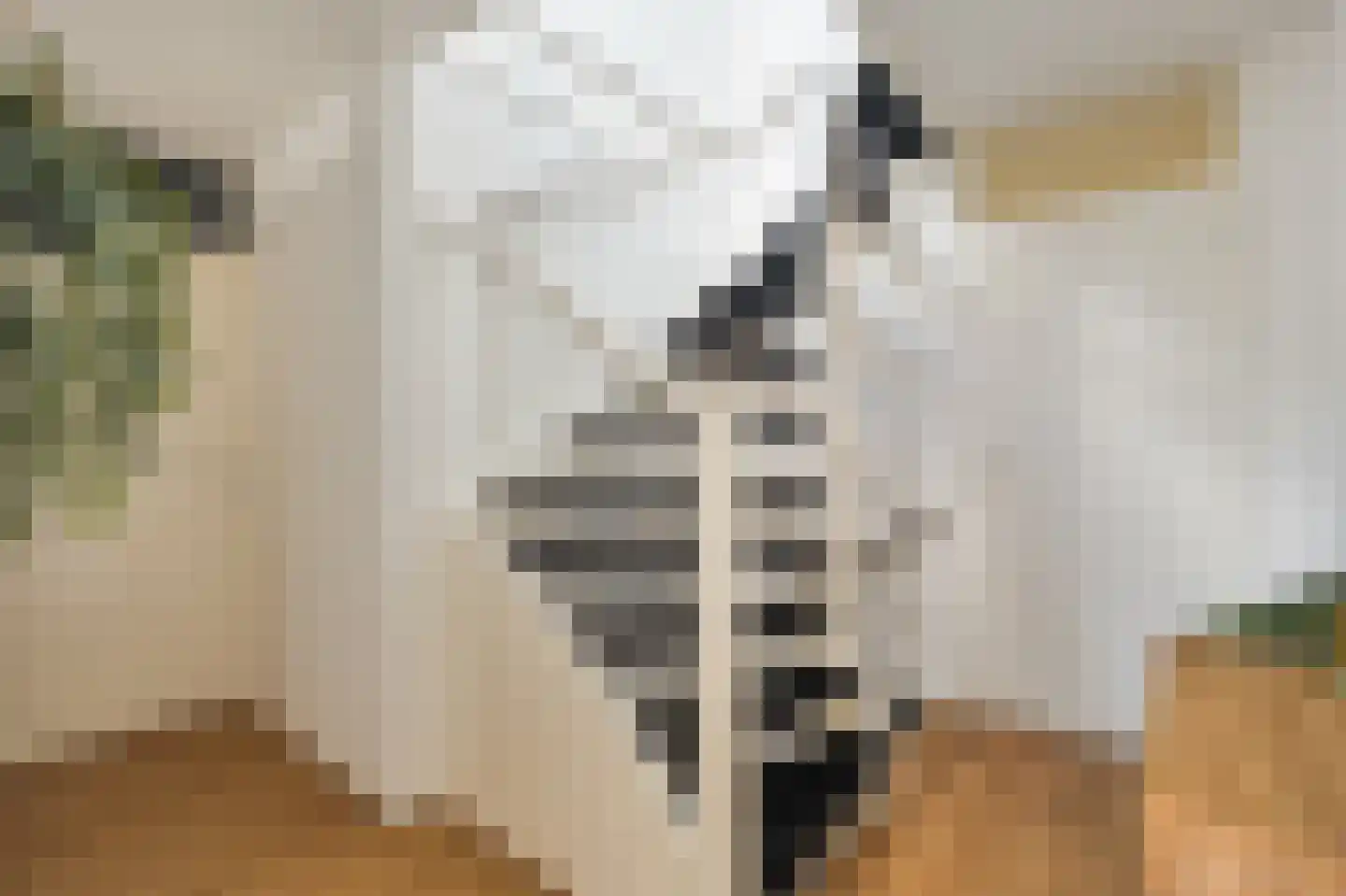 Nieuwe Wetering 127 Hoogvliet Rotterdam thumbnail 17