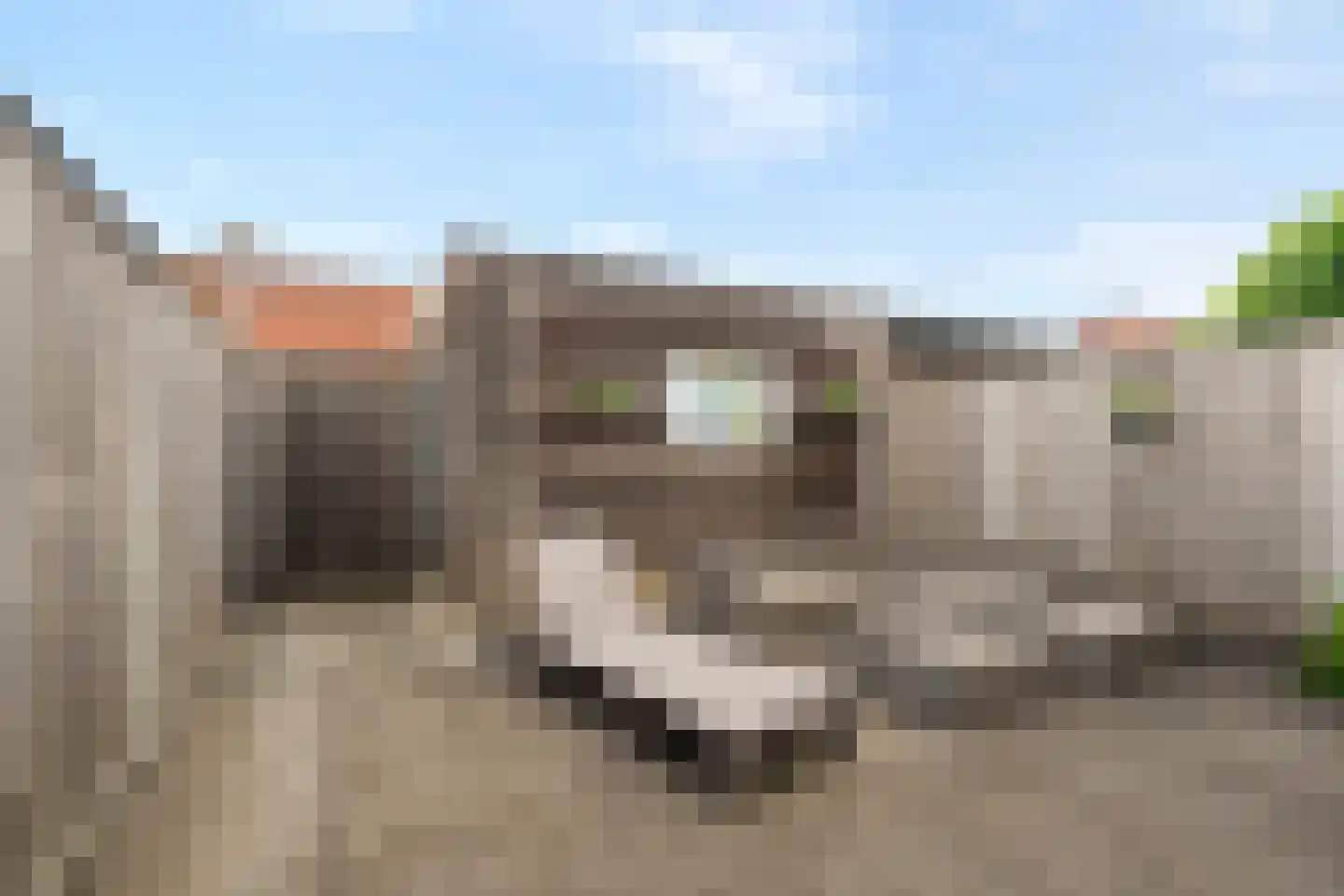 Nieuwe Wetering 127 Hoogvliet Rotterdam thumbnail 32