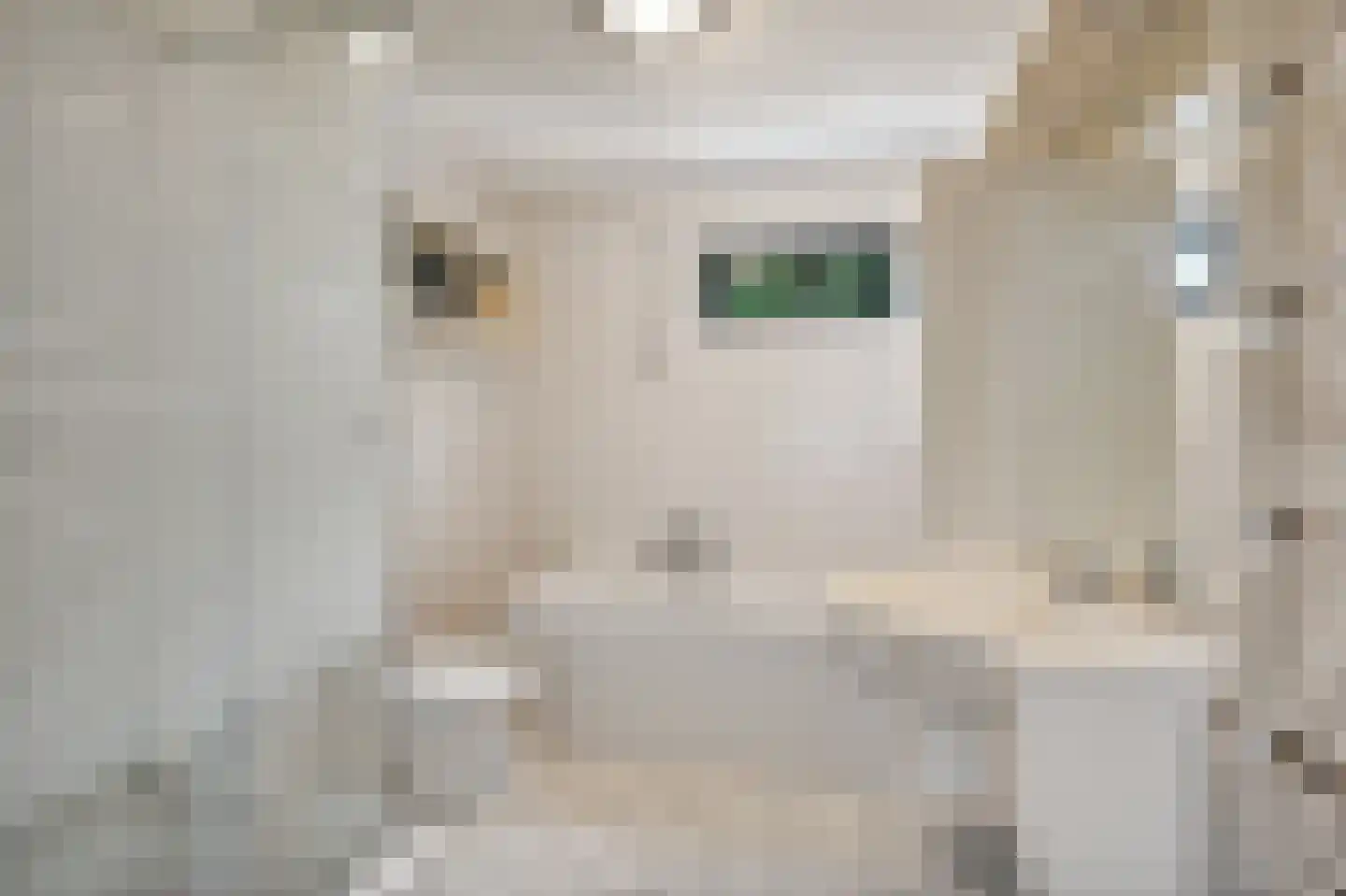 Nieuwe Wetering 127 Hoogvliet Rotterdam thumbnail 4