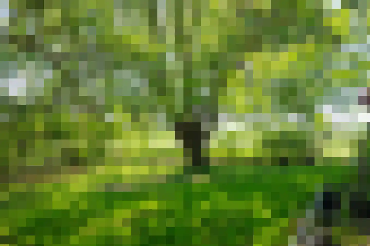 Nieuwe Wetering 14 Mastenbroek thumbnail 17