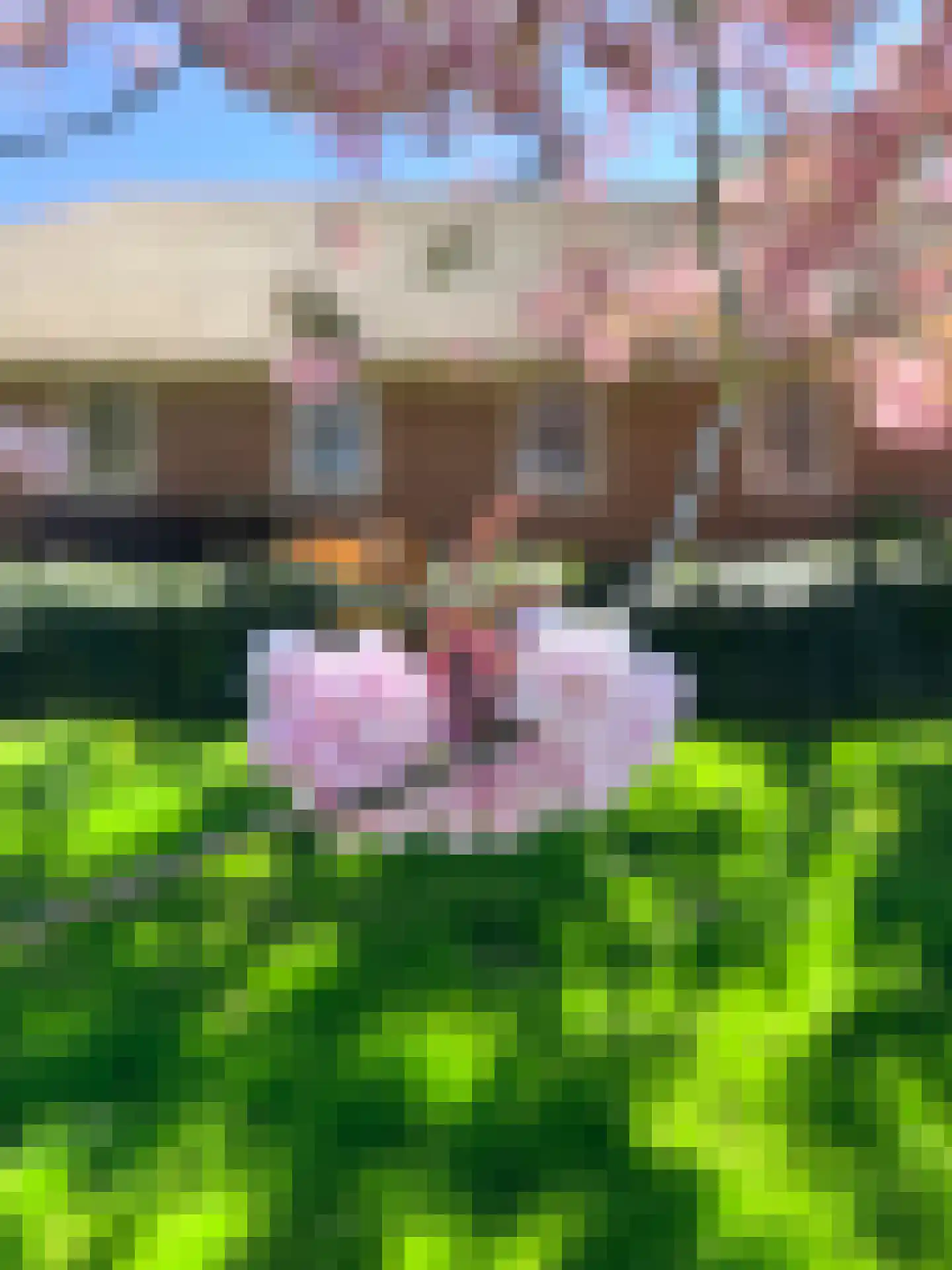 Nieuwe Wetering 14 Mastenbroek thumbnail 19