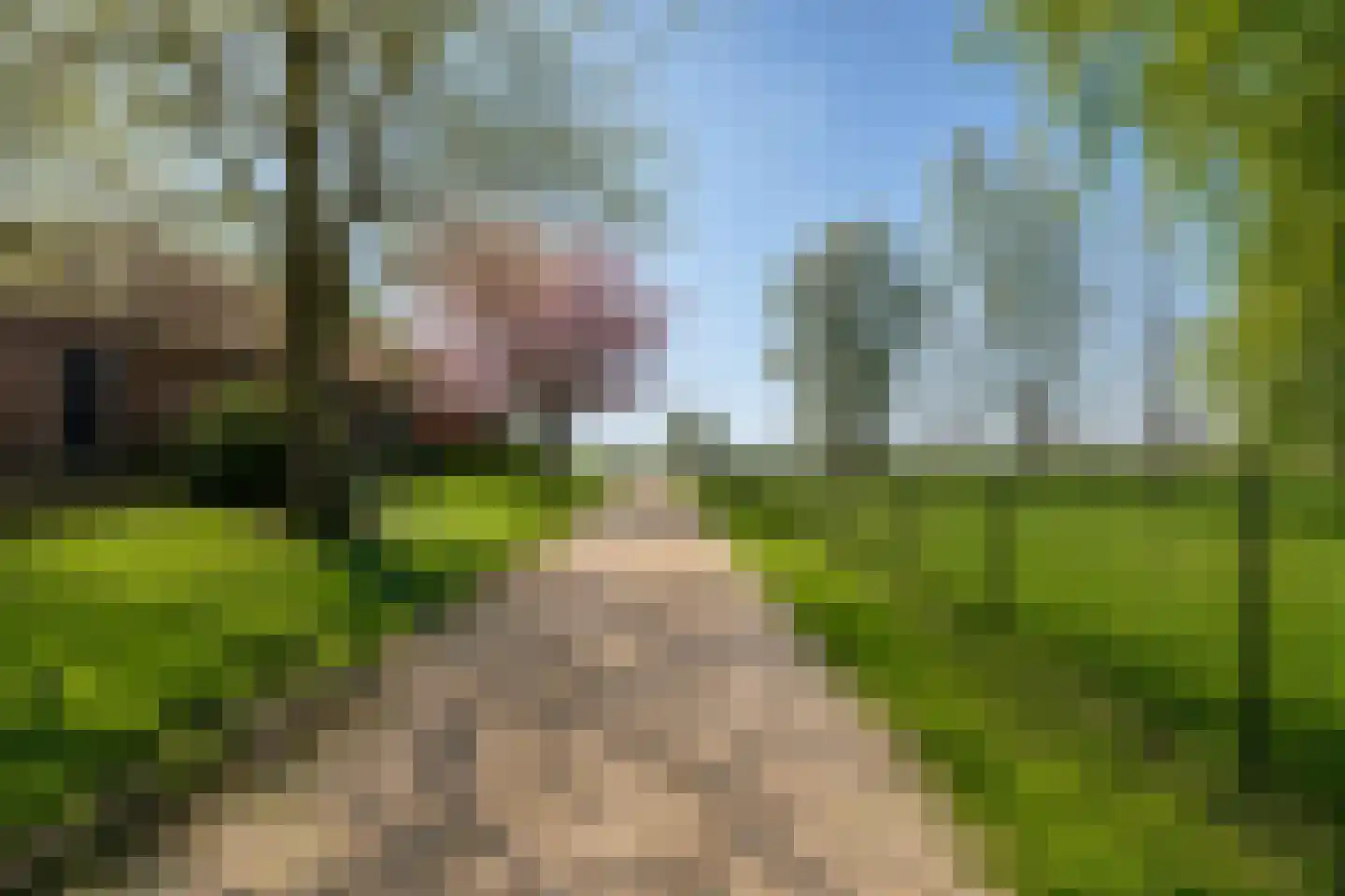 Nieuwe Wetering 14 Mastenbroek thumbnail 23