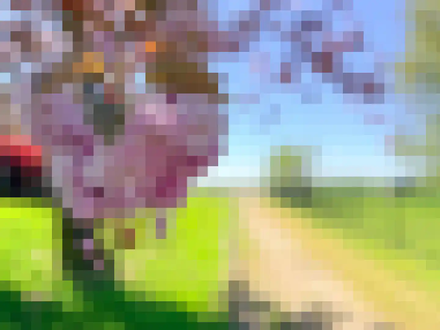 Nieuwe Wetering 14 Mastenbroek thumbnail 24