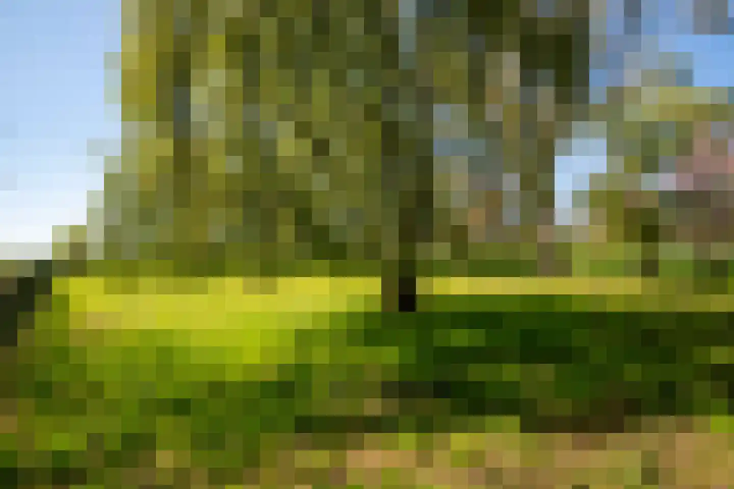Nieuwe Wetering 14 Mastenbroek thumbnail 26