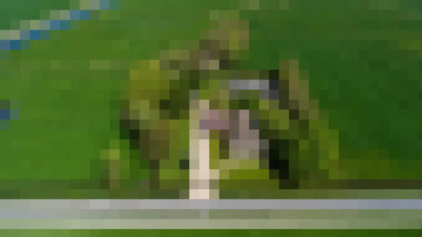 Nieuwe Wetering 14 Mastenbroek thumbnail 28