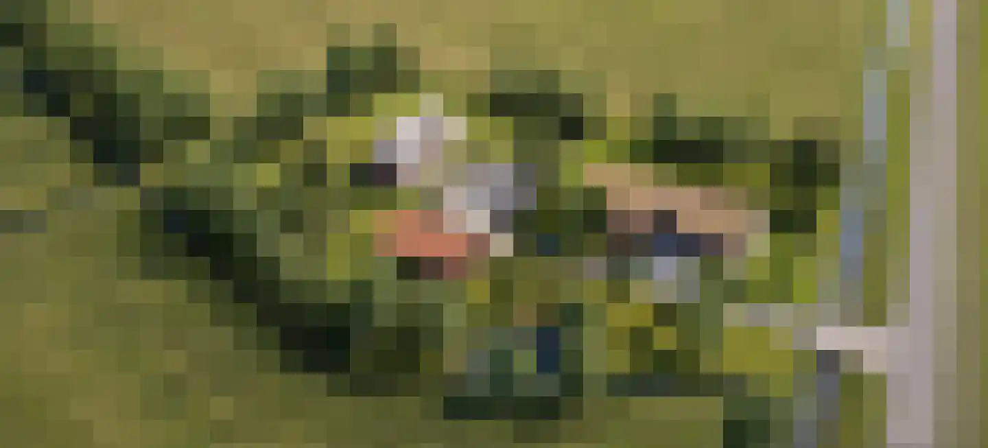 Nieuwe Wetering 14 Mastenbroek thumbnail 33