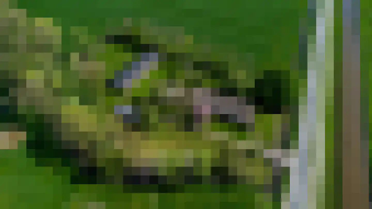 Nieuwe Wetering 14 Mastenbroek thumbnail 4