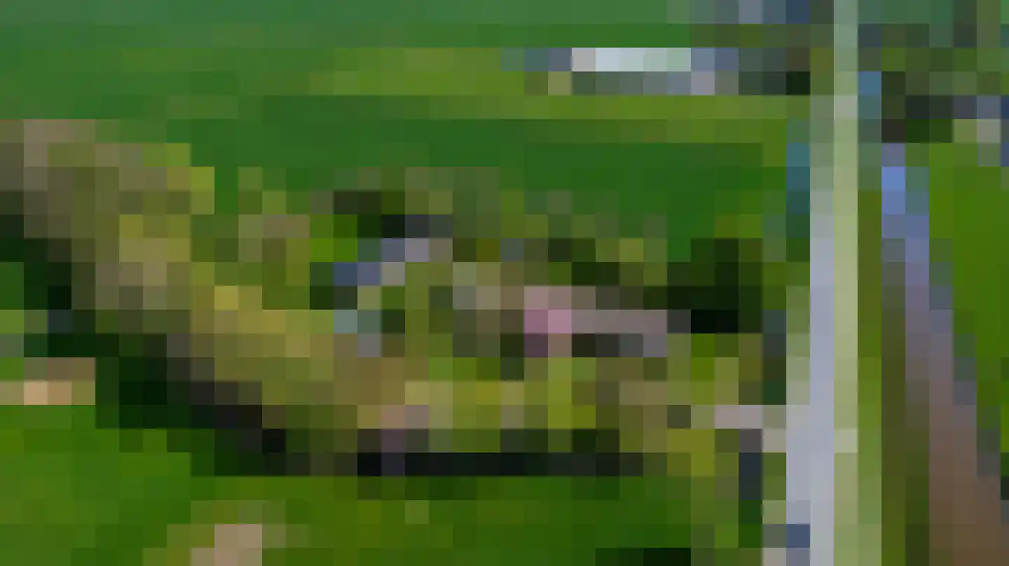 Nieuwe Wetering 14 Mastenbroek thumbnail 5