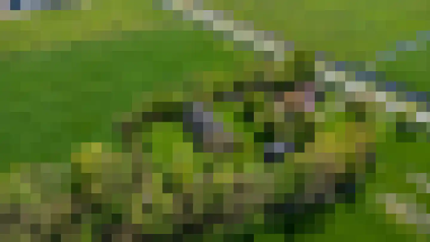Nieuwe Wetering 14 Mastenbroek thumbnail 7