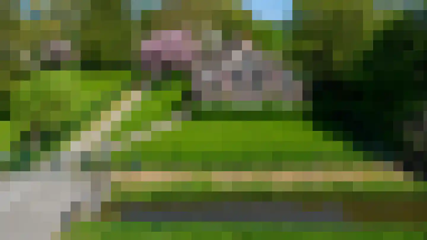 Nieuwe Wetering 14 Mastenbroek thumbnail 9