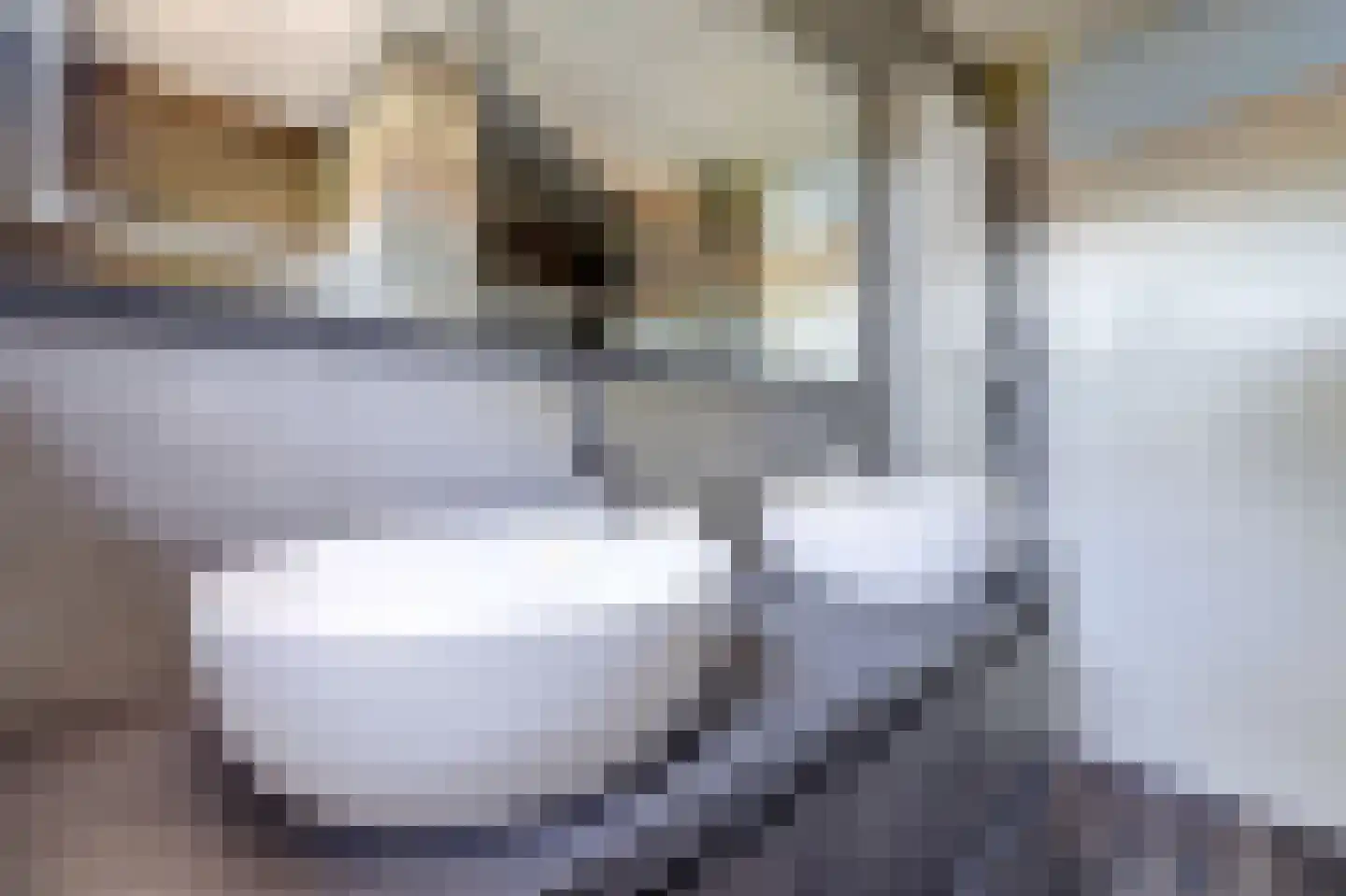 Nieuwe Wetering 147 Hoogvliet Rotterdam thumbnail 19