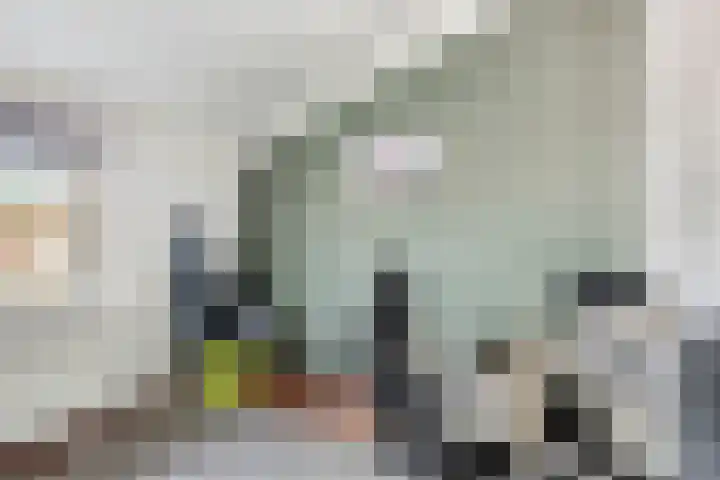 Nieuwe Wetering 219 Hoogvliet Rotterdam thumbnail 12