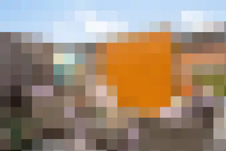 Nieuwe Wetering 219 Hoogvliet Rotterdam thumbnail 20