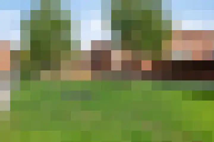 Nieuwe Wetering 219 Hoogvliet Rotterdam thumbnail 23