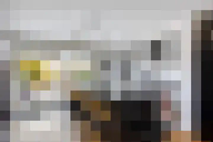 Nieuwe Wetering 219 Hoogvliet Rotterdam thumbnail 6