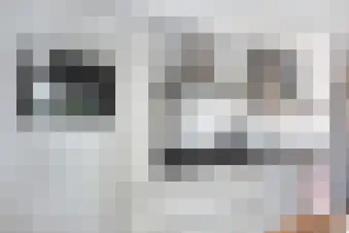 Nieuwe Wetering 219 Hoogvliet Rotterdam thumbnail 7
