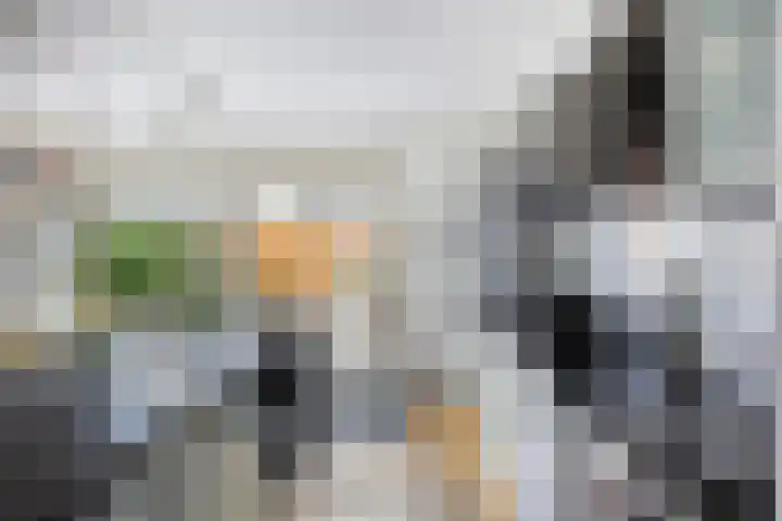 Nieuwe Wetering 219 Hoogvliet Rotterdam thumbnail 8