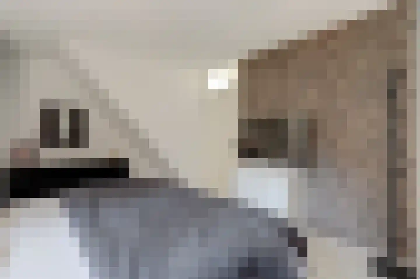Nieuwe Wetering 227 Hoogvliet Rotterdam thumbnail 13