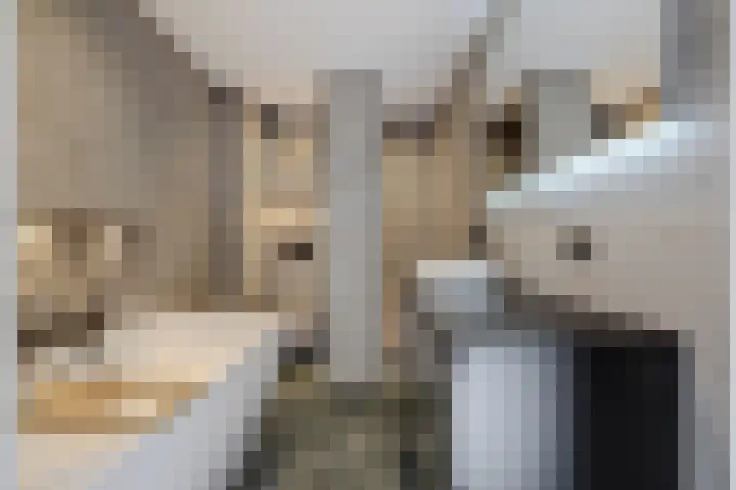 Nieuwe Wetering 227 Hoogvliet Rotterdam thumbnail 16