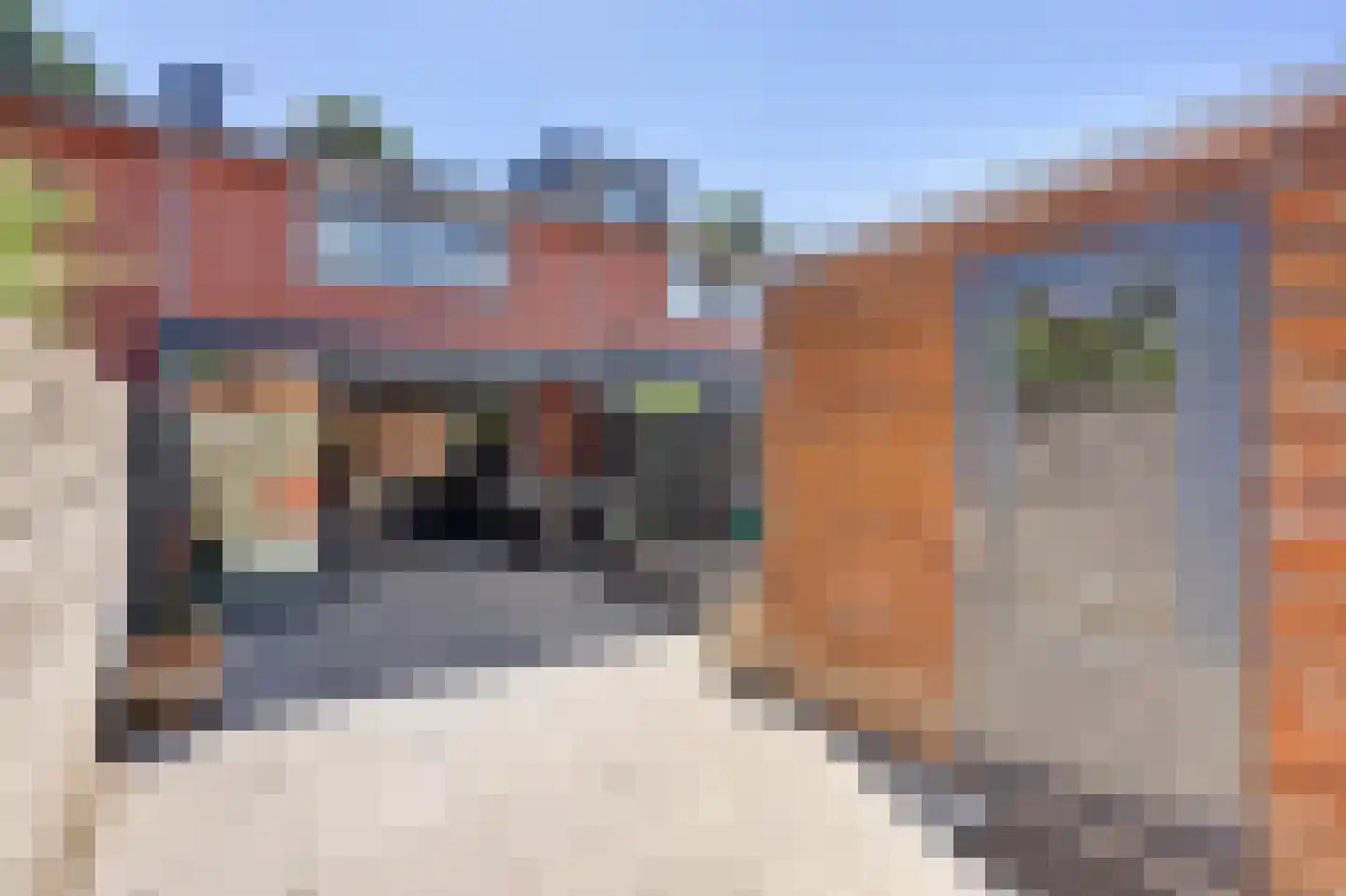 Nieuwe Wetering 227 Hoogvliet Rotterdam thumbnail 23