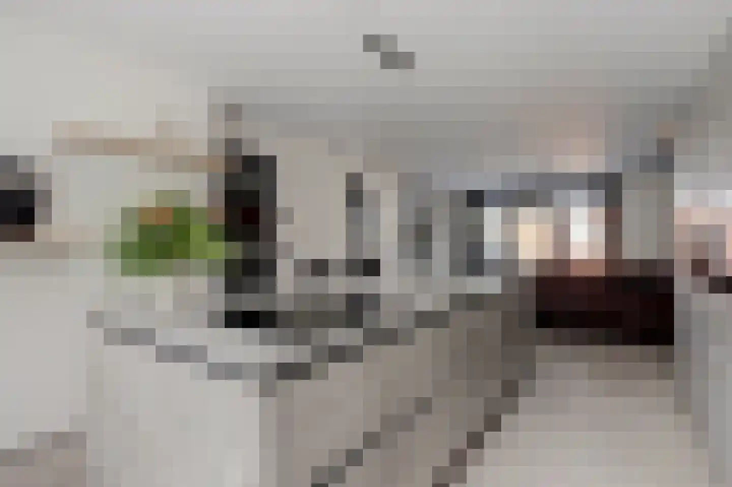 Nieuwe Wetering 227 Hoogvliet Rotterdam thumbnail 5