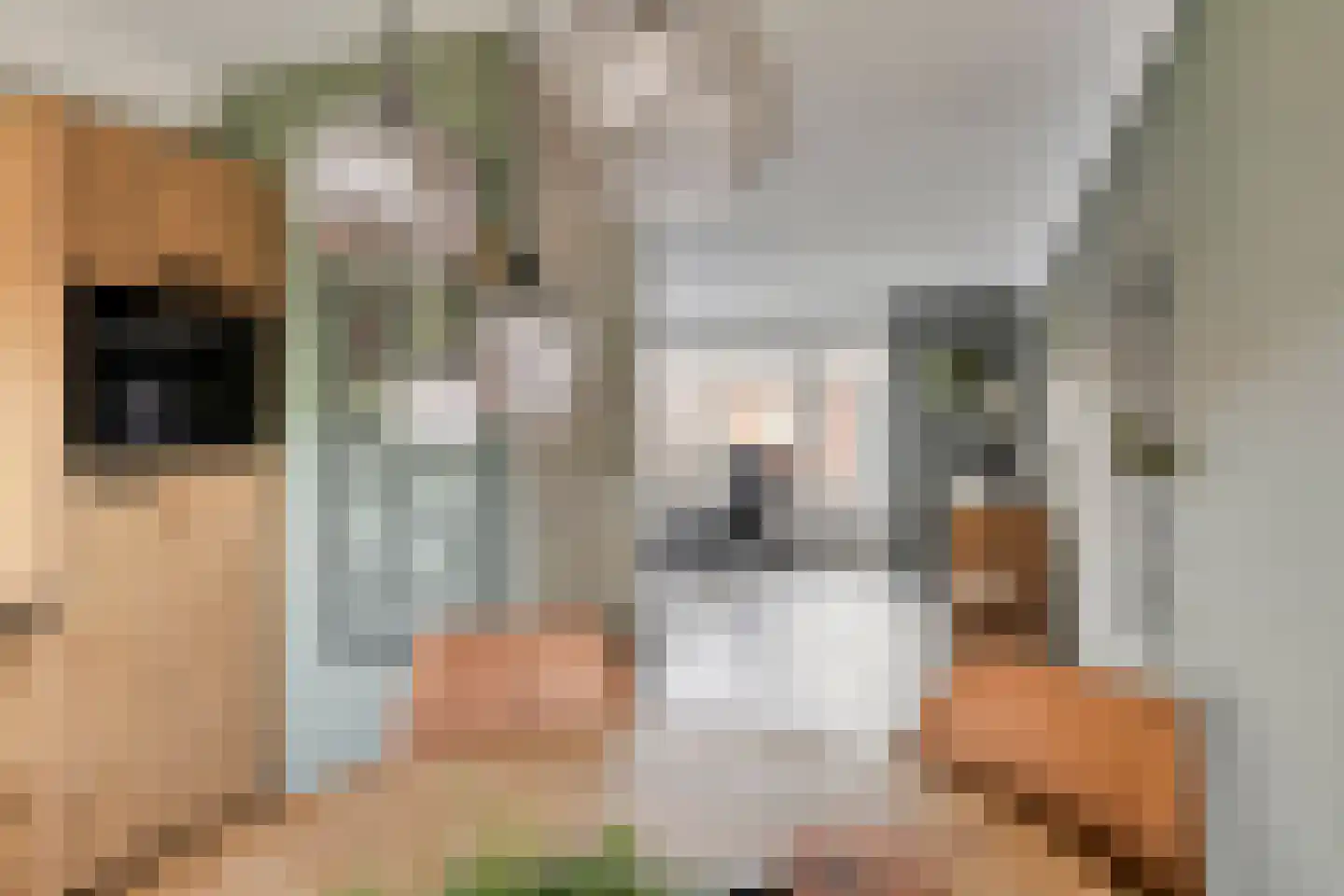 Nieuwe Wetering 259 Hoogvliet Rotterdam thumbnail 14