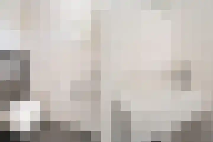 Nieuwe Wetering 54 Hoogvliet Rotterdam thumbnail 17
