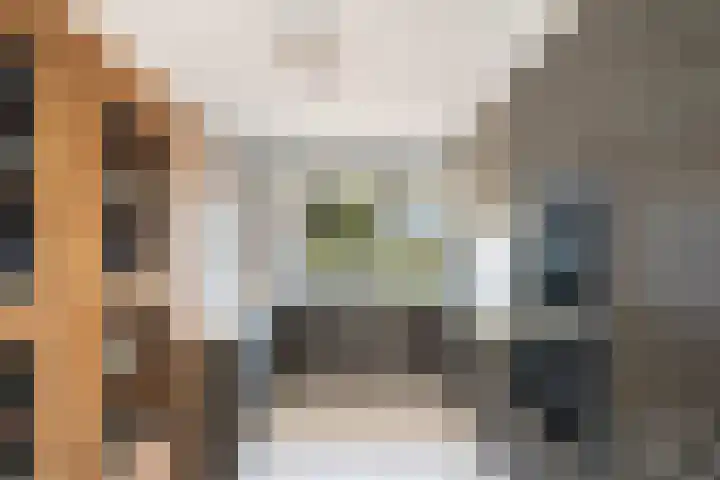 Nieuwe Wetering 54 Hoogvliet Rotterdam thumbnail 24