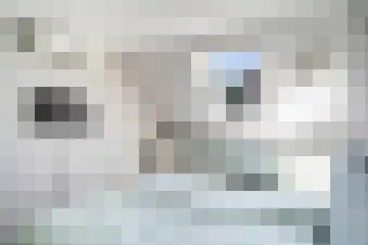 Nieuwe Wetering 54 Hoogvliet Rotterdam thumbnail 35