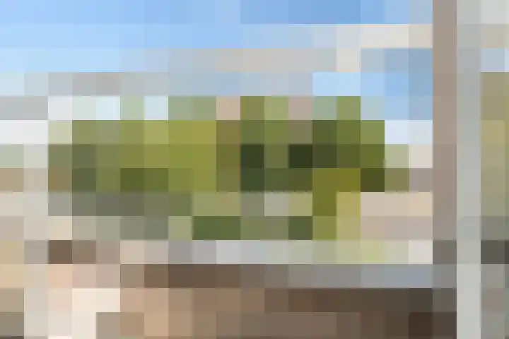 Nieuwe Wetering 54 Hoogvliet Rotterdam thumbnail 52