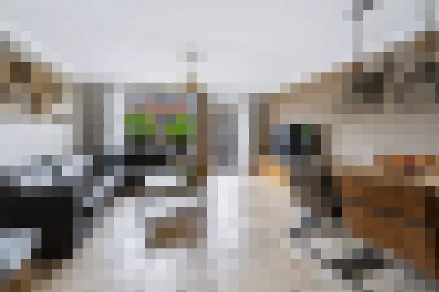 Nieuwe Wetering 55 Hoogvliet Rotterdam thumbnail 10