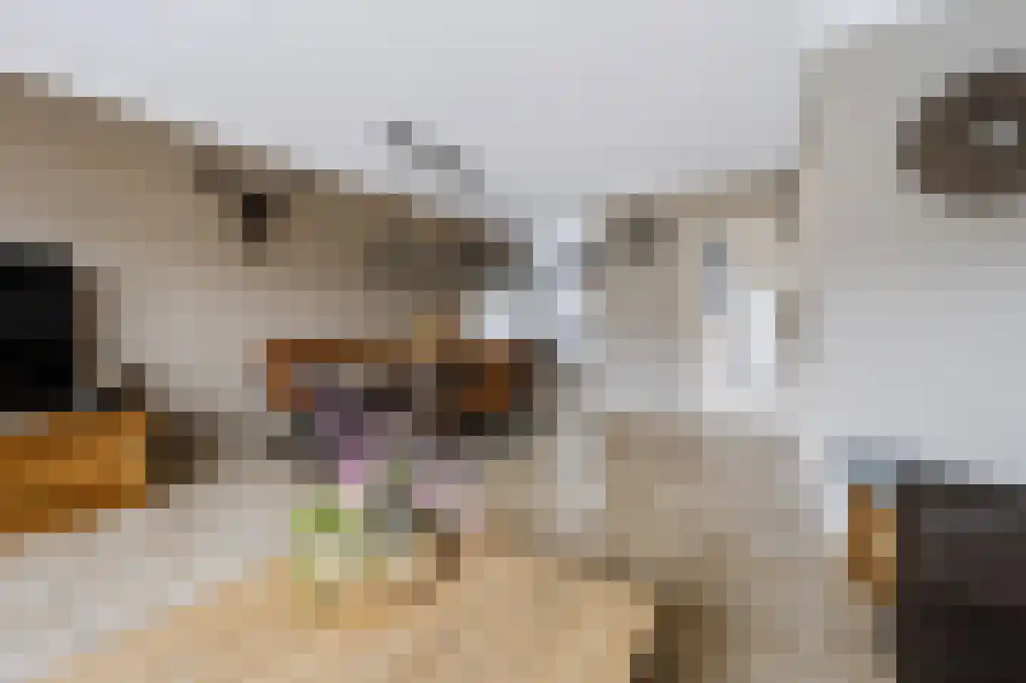 Nieuwe Wetering 55 Hoogvliet Rotterdam thumbnail 11