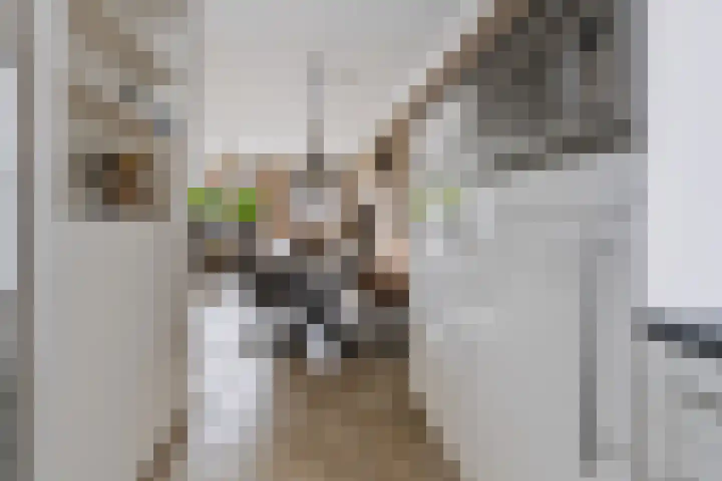 Nieuwe Wetering 55 Hoogvliet Rotterdam thumbnail 13