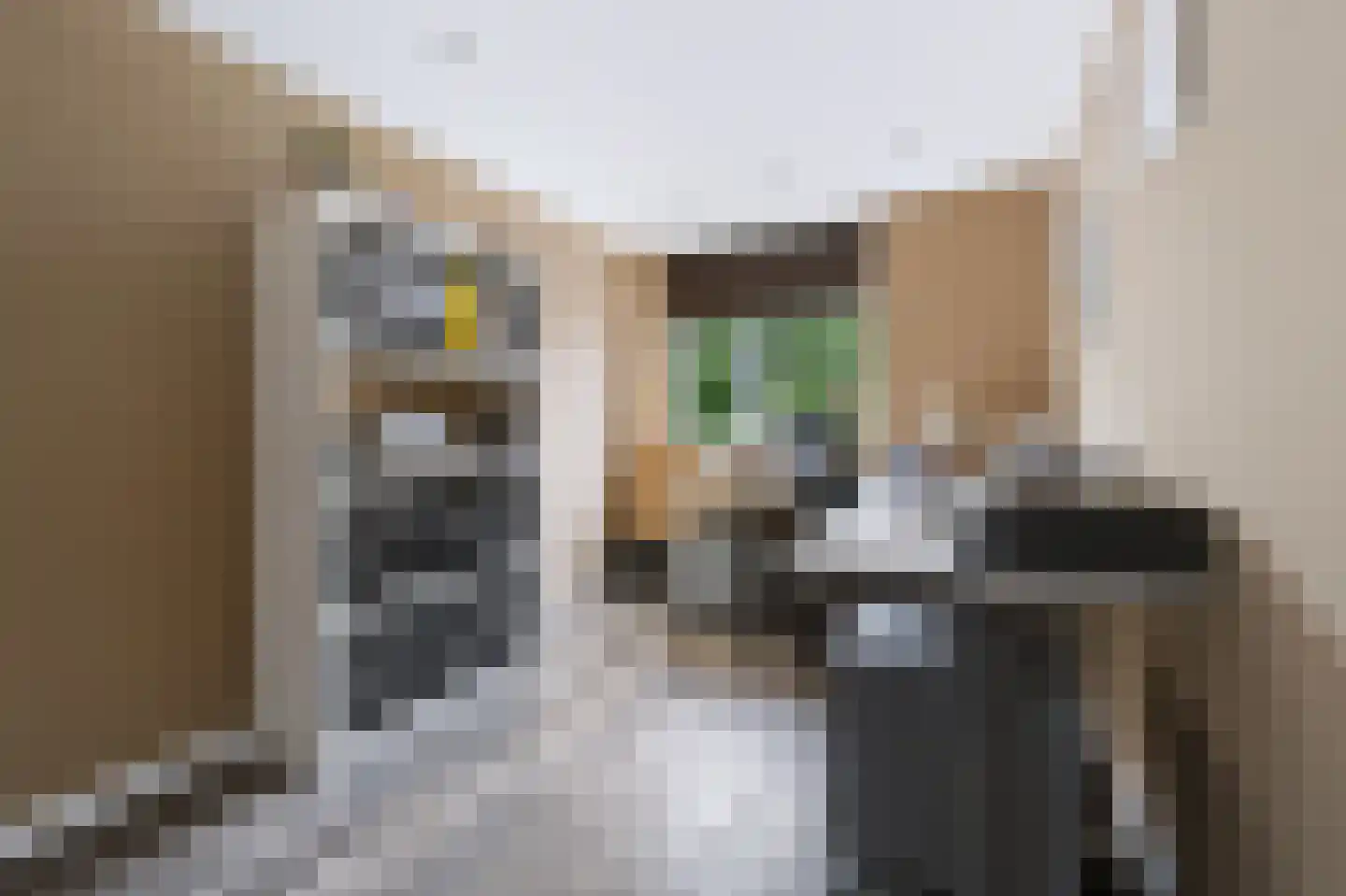 Nieuwe Wetering 55 Hoogvliet Rotterdam thumbnail 25