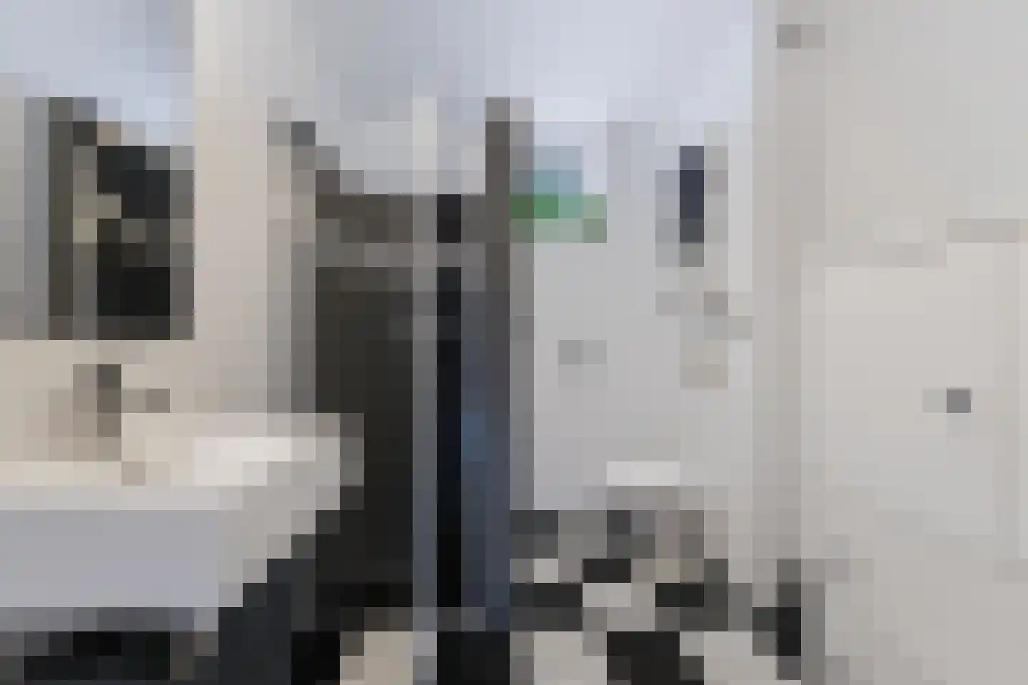 Nieuwe Wetering 55 Hoogvliet Rotterdam thumbnail 5