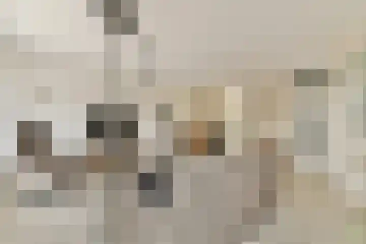 Nieuwe Wetering 66 Hoogvliet Rotterdam thumbnail 10