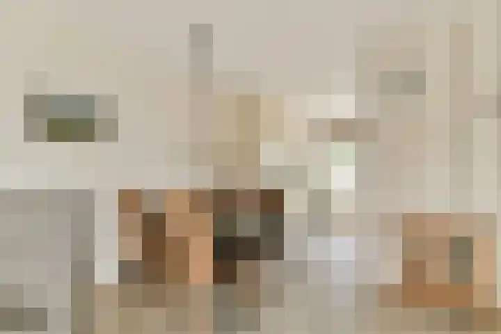 Nieuwe Wetering 66 Hoogvliet Rotterdam thumbnail 11