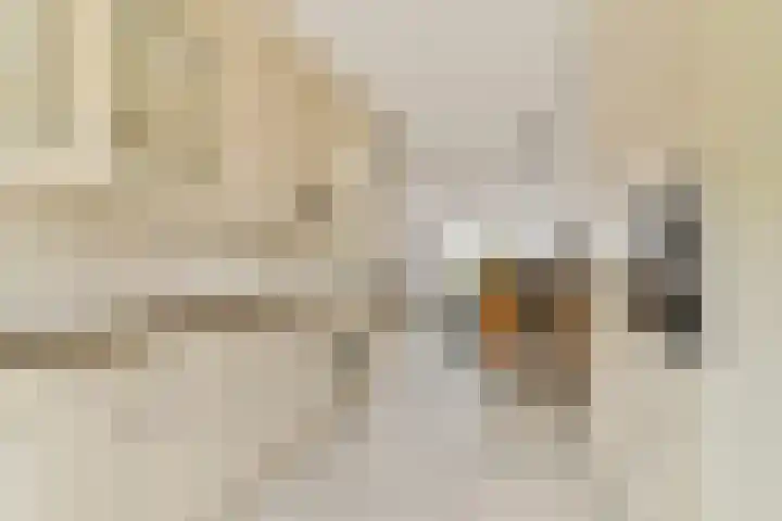 Nieuwe Wetering 66 Hoogvliet Rotterdam thumbnail 12